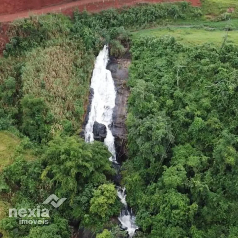 fazenda-a-venda-em-palma (1)