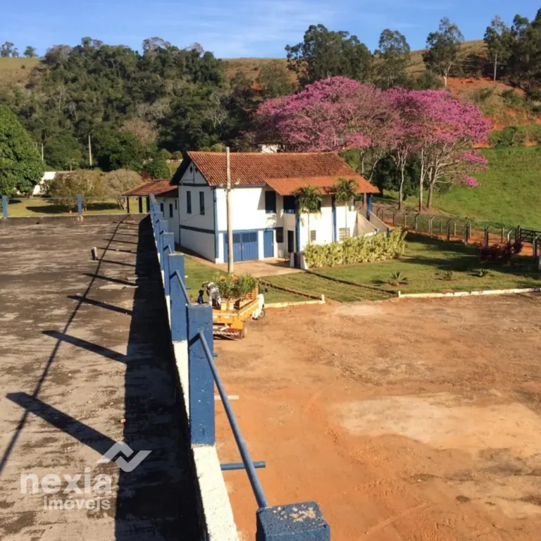 fazenda-a-venda-em-palma (3)