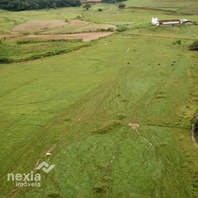 fazenda-a-venda-em-palma (4)