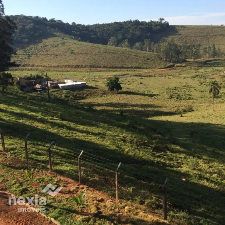 fazenda-a-venda-em-palma (6)