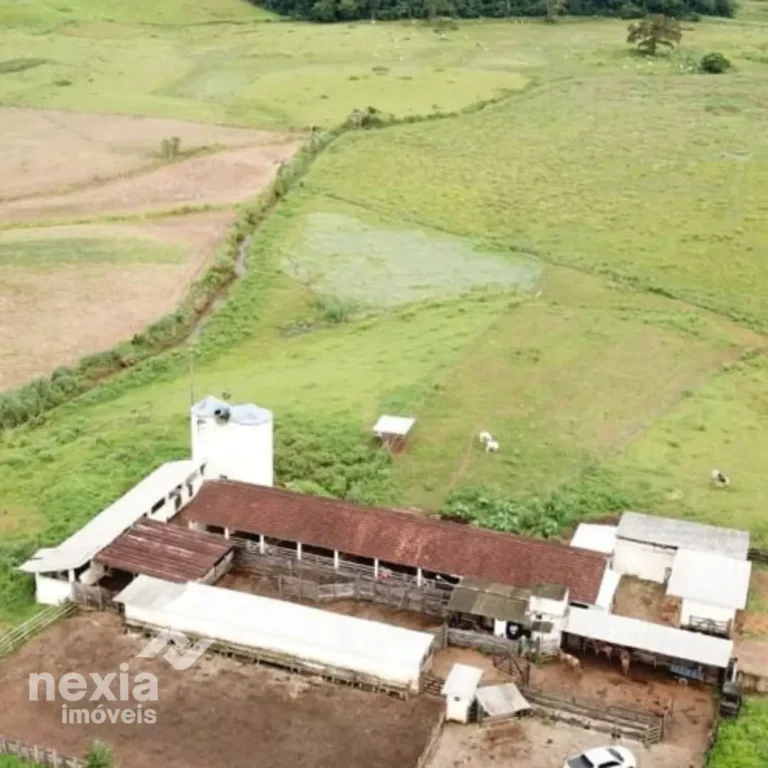 fazenda-a-venda-em-palma (7)