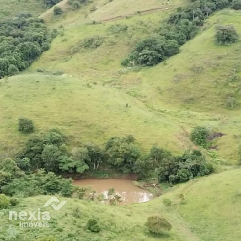 fazenda-a-venda-em-palma (8)